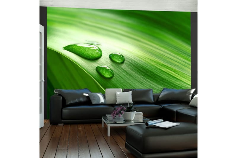 Fototapet Blad Og Tre Dråber Vand 300x231 - Artgeist sp. z o. o. - Boligtilbehør - Vægdekoration - Tapeter - Fototapeter