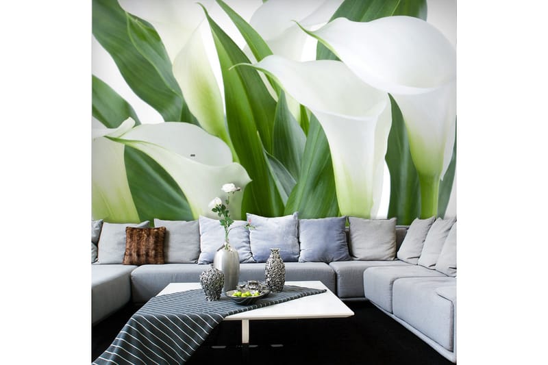 Fototapet Blomsterbuket Kallor 350x270, Artgeist sp. z o. o.