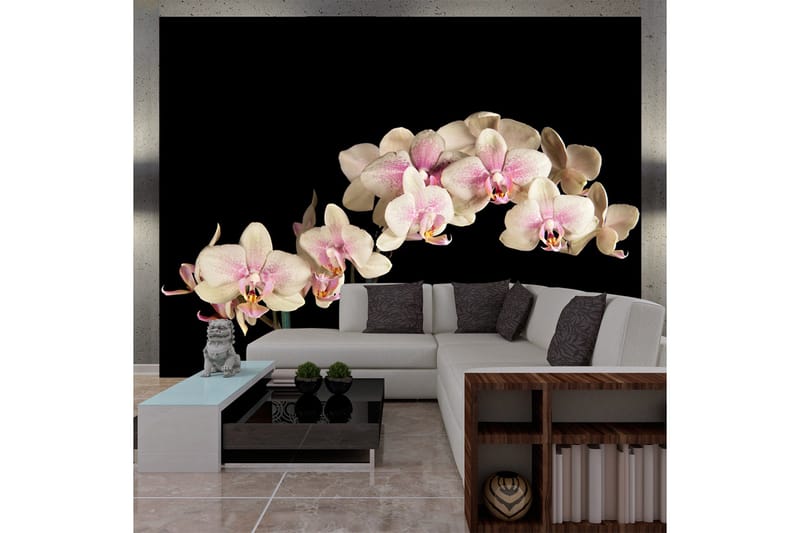 Fototapet Blooming Orchid 300x231, Artgeist sp. z o. o.