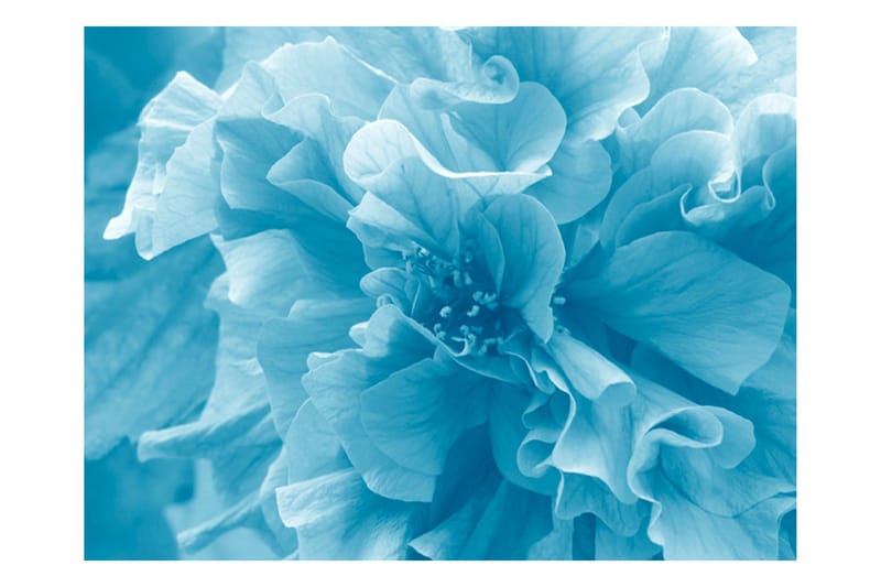 Fototapet Blue Azalea 300x231 - Artgeist sp. z o. o. - Boligtilbehør - Vægdekoration - Tapeter - Fototapeter
