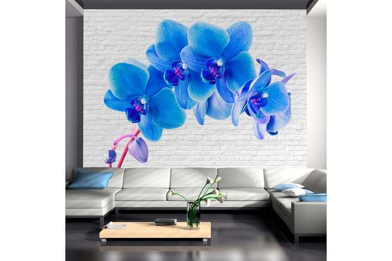 Fototapet Blue Excitation 250x175 - Artgeist sp. z o. o. - Boligtilbehør - Vægdekoration - Tapeter - Fototapeter