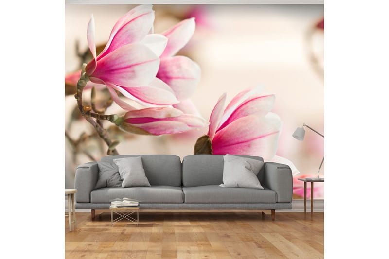 Fototapet Branch Of Magnolia Tree 300x231, Artgeist sp. z o. o.