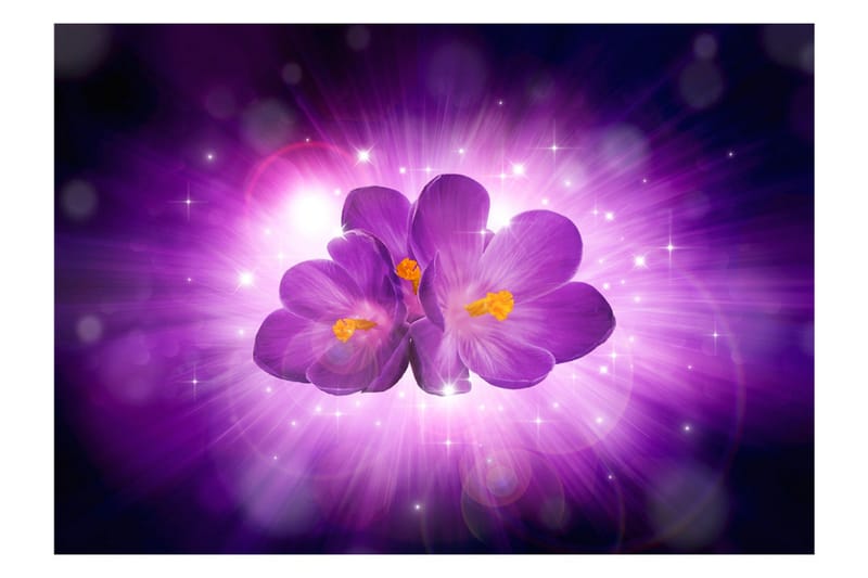 Fototapet Breath Of Spring 100x70 - Artgeist sp. z o. o. - Boligtilbehør - Vægdekoration - Tapeter - Fototapeter