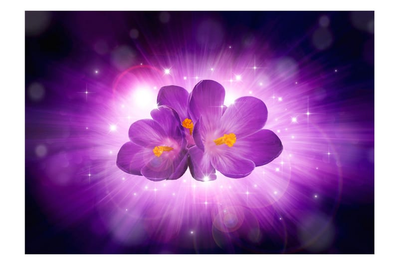 Fototapet Breath Of Spring 400x280 - Artgeist sp. z o. o. - Boligtilbehør - Vægdekoration - Tapeter - Fototapeter