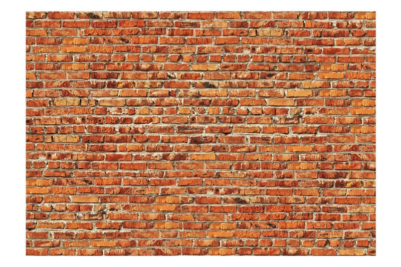 Fototapet Brick Wall 250x175 - Artgeist sp. z o. o. - Fototapeter