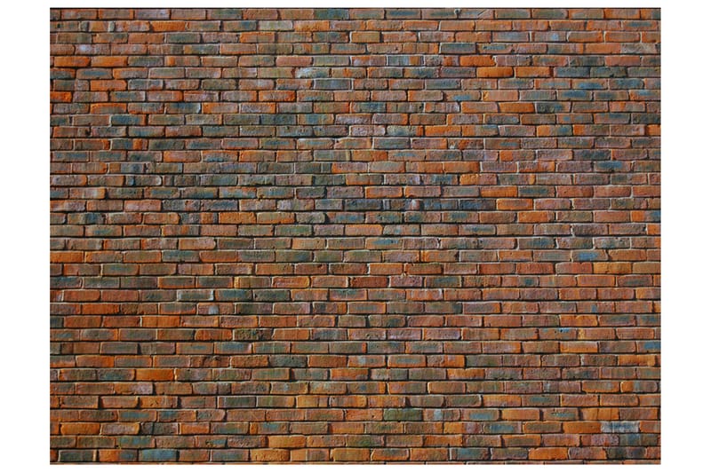 Fototapet Brickwall 250x193, Artgeist sp. z o. o.