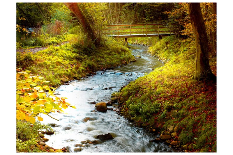 Fototapet Brook Sunrise 400x309, Artgeist sp. z o. o.