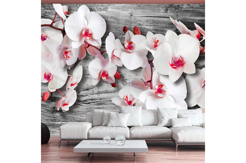 Fototapet Callous Orchids 150x105 - Artgeist sp. z o. o. - Fototapeter