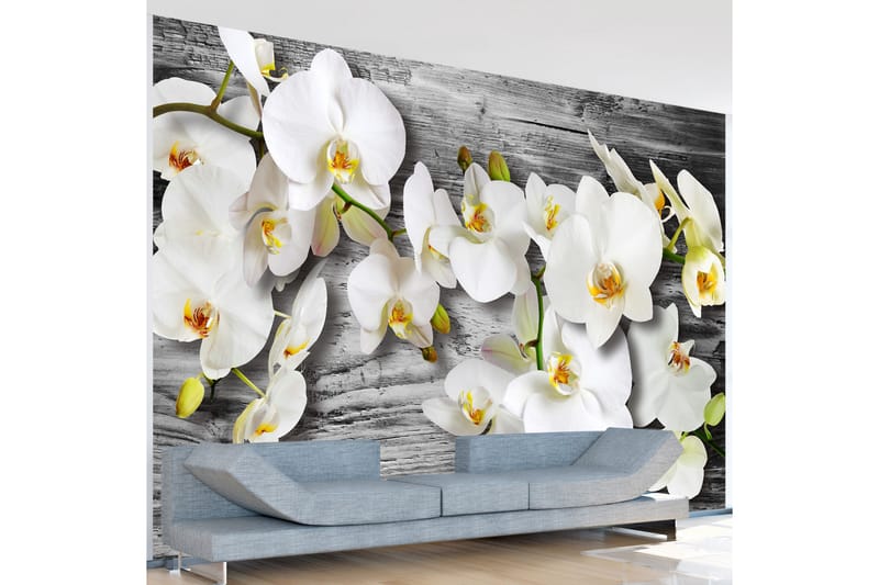 Fototapet Callous Orchids III 250x175 - Artgeist sp. z o. o. - Boligtilbehør - Vægdekoration - Tapeter - Fototapeter