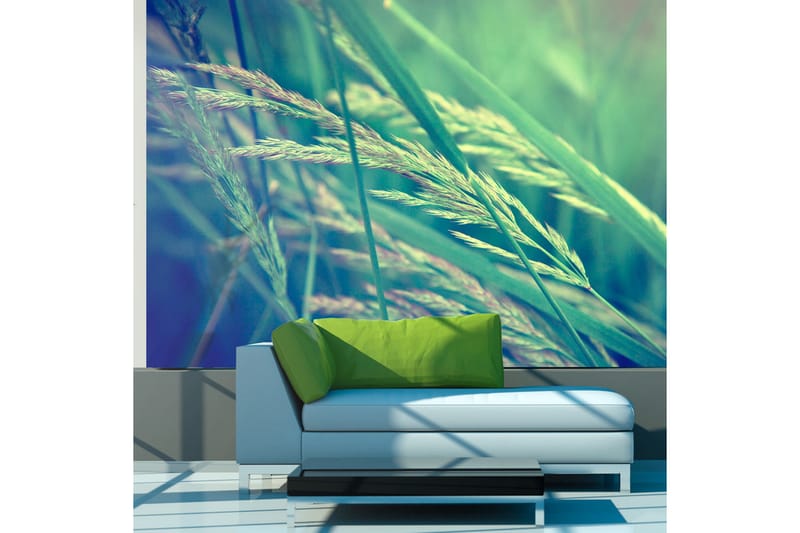 Fototapet Cereal Field 250x193 - Artgeist sp. z o. o. - Boligtilbehør - Vægdekoration - Tapeter - Fototapeter