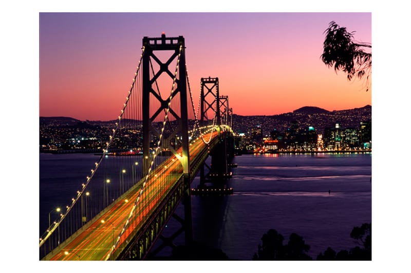 Fototapet Charmerende Aften i San Francisco 250x193 - Artgeist sp. z o. o. - Boligtilbehør - Vægdekoration - Tapeter - Fototapeter