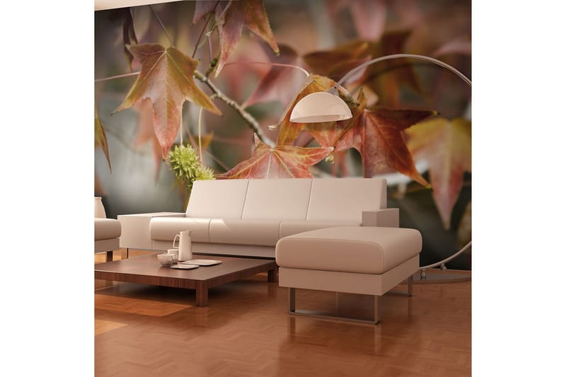 Fototapet Chestnut 250x193, Artgeist sp. z o. o.