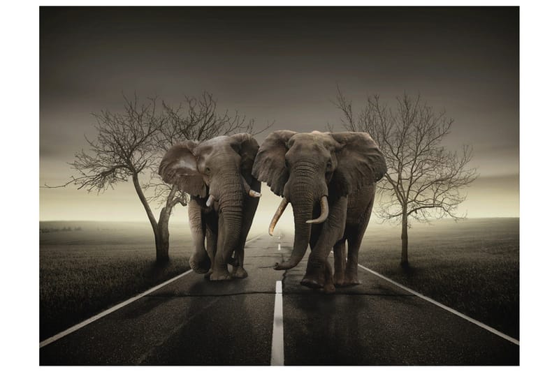 Fototapet City Of Elefanter 400x309, Artgeist sp. z o. o.