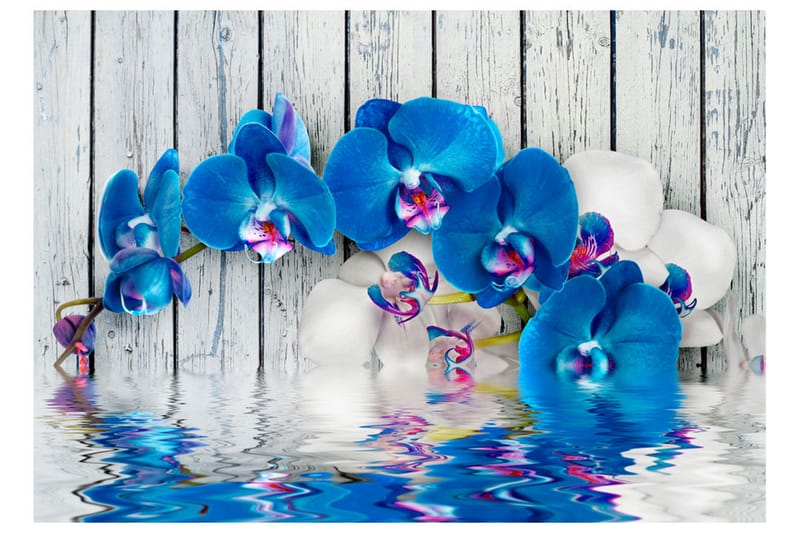 Fototapet Cobaltic Orchid 200x140 - Artgeist sp. z o. o. - Boligtilbehør - Vægdekoration - Tapeter - Fototapeter