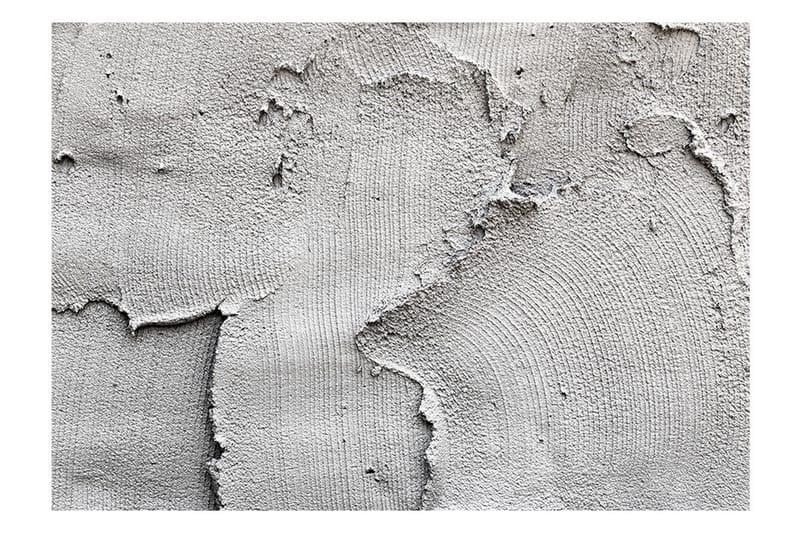 Fototapet Concrete Nothingness 150x105, Artgeist sp. z o. o.