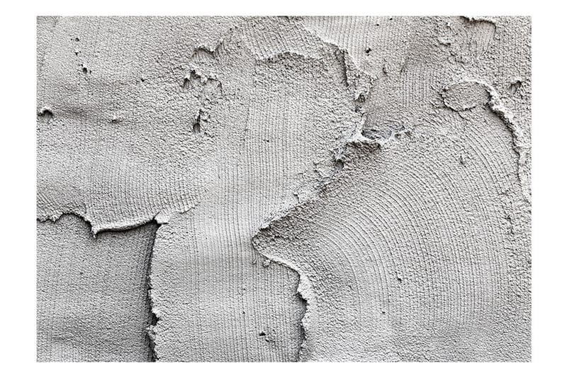 Fototapet Concrete Nothingness 150x105 - Artgeist sp. z o. o. - Boligtilbehør - Vægdekoration - Tapeter - Fototapeter