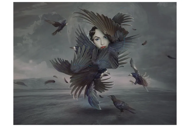 Fototapet Dækket Fjer 400x309, Artgeist sp. z o. o.