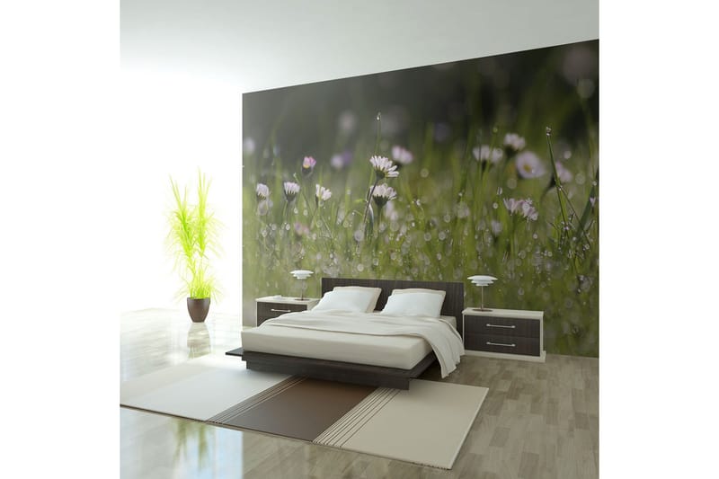 Fototapet Daisies With Morning Dew 200x154, Artgeist sp. z o. o.