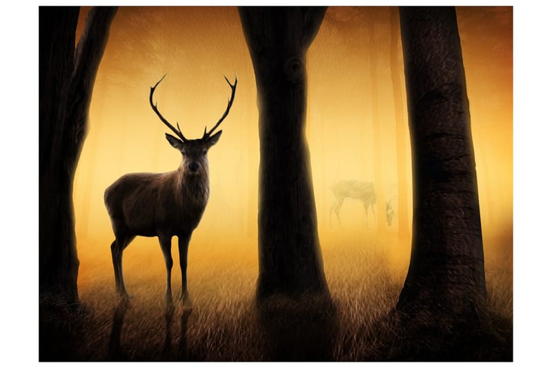 Fototapet Deer In His Natural Habitat 250x193 - Artgeist sp. z o. o. - Boligtilbehør - Vægdekoration - Tapeter - Fototapeter