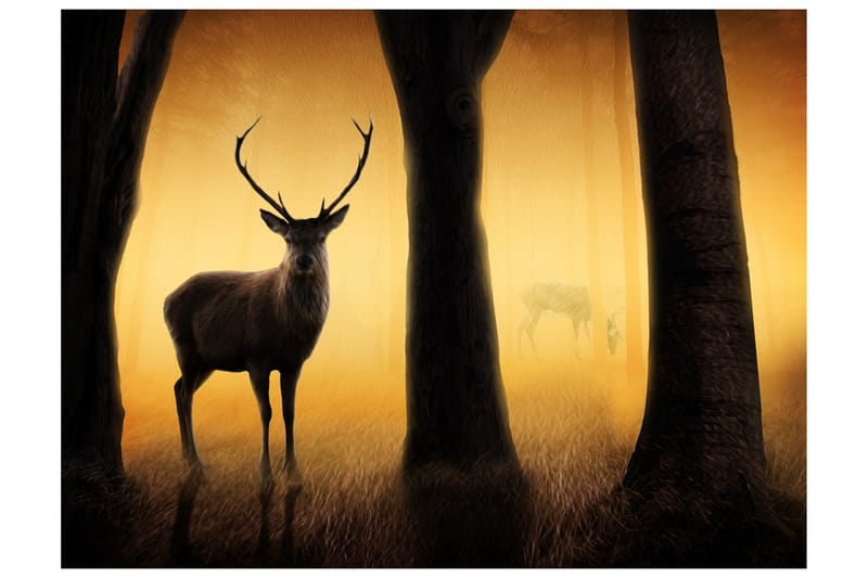 Fototapet Deer In His Natural Habitat 250x193 - Artgeist sp. z o. o. - Boligtilbehør - Vægdekoration - Tapeter - Fototapeter