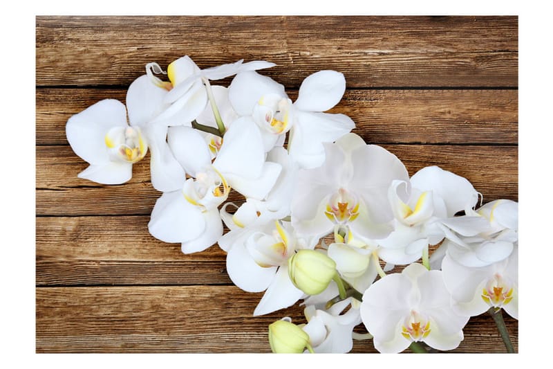 Fototapet Delicacy On Wood 250x175 - Artgeist sp. z o. o. - Boligtilbehør - Vægdekoration - Tapeter - Fototapeter