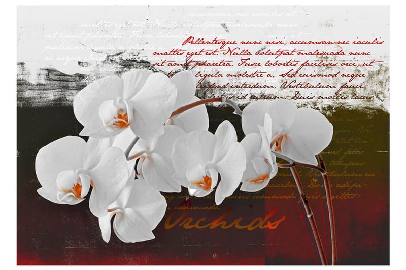 Fototapet Diary And Orchid 200x140 - Artgeist sp. z o. o. - Boligtilbehør - Vægdekoration - Tapeter - Fototapeter