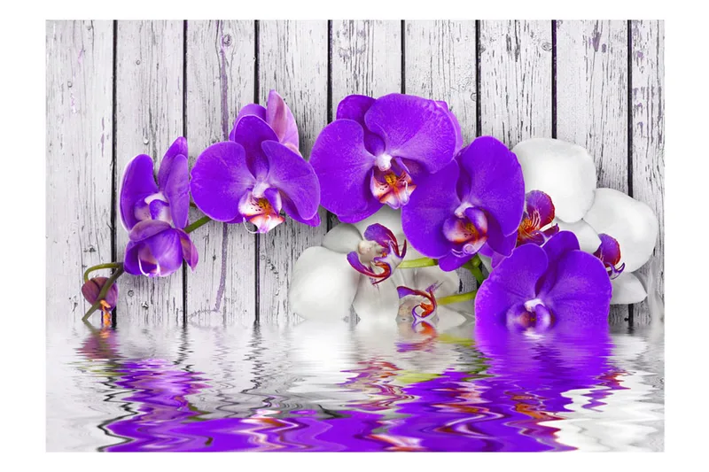 Fototapet Dormant Instincts 200x140 - Artgeist sp. z o. o. - Boligtilbehør - Vægdekoration - Tapeter - Fototapeter