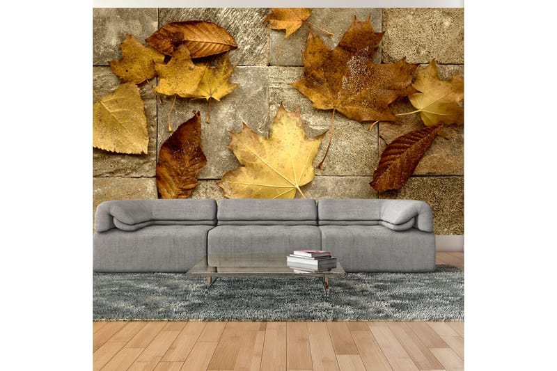 Fototapet Efterår 450x270, Artgeist sp. z o. o.