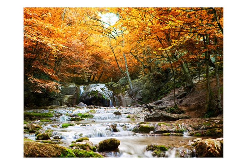 Fototapet Efterår Vandfald 300x231, Artgeist sp. z o. o.