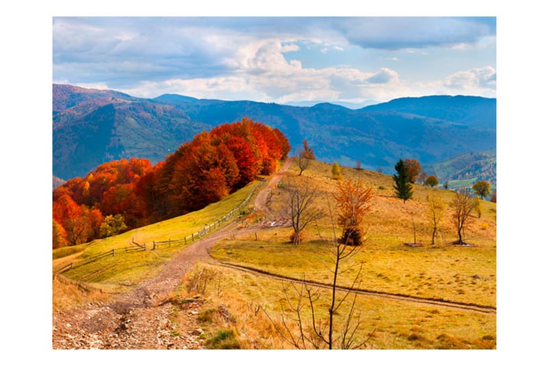 Fototapet Efterårs Landskab Karpaterna 400x309, Artgeist sp. z o. o.