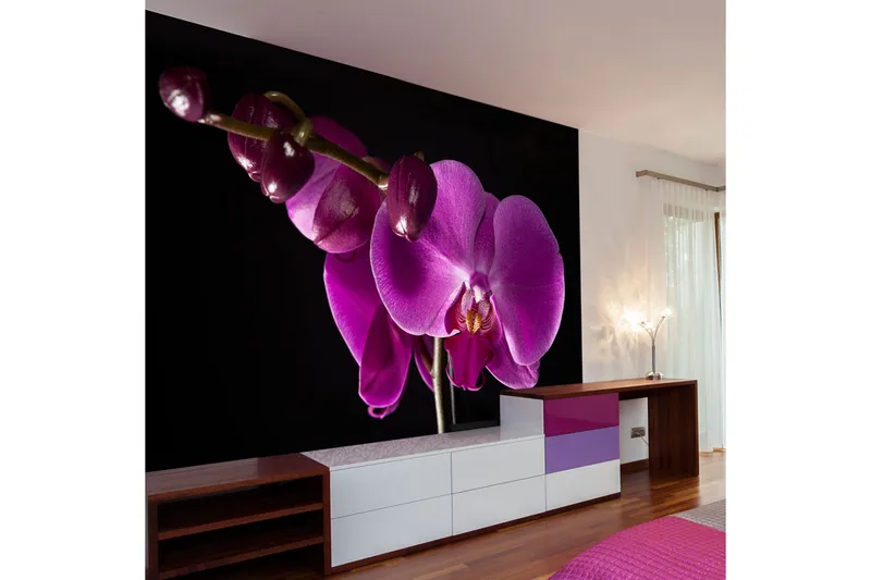 Fototapet Elegant Orchids 200x154, Artgeist sp. z o. o.