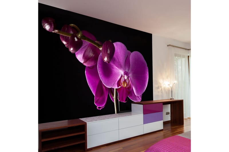 Fototapet Elegant Orchids 200x154 - Artgeist sp. z o. o. - Boligtilbehør - Vægdekoration - Tapeter - Fototapeter