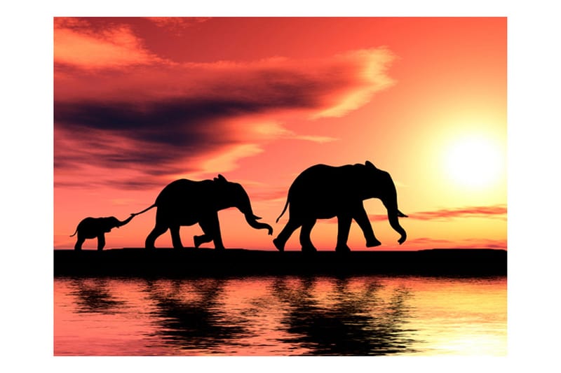 Fototapet Elephants Family 300x231 - Artgeist sp. z o. o. - Boligtilbehør - Vægdekoration - Tapeter - Fototapeter