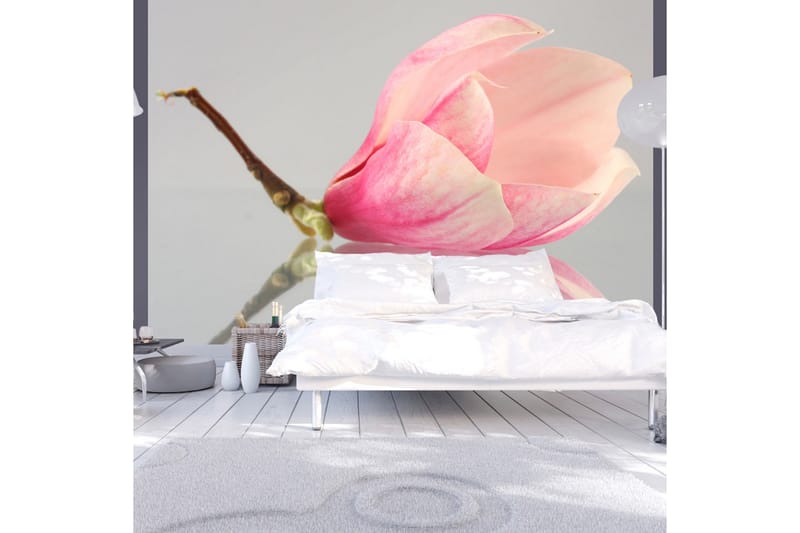 Fototapet En Ensom Magnolia Blomster 400x309, Artgeist sp. z o. o.