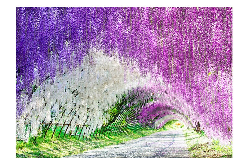 Fototapet Enchanted Garden 400x280 - Artgeist sp. z o. o. - Boligtilbehør - Vægdekoration - Tapeter - Fototapeter