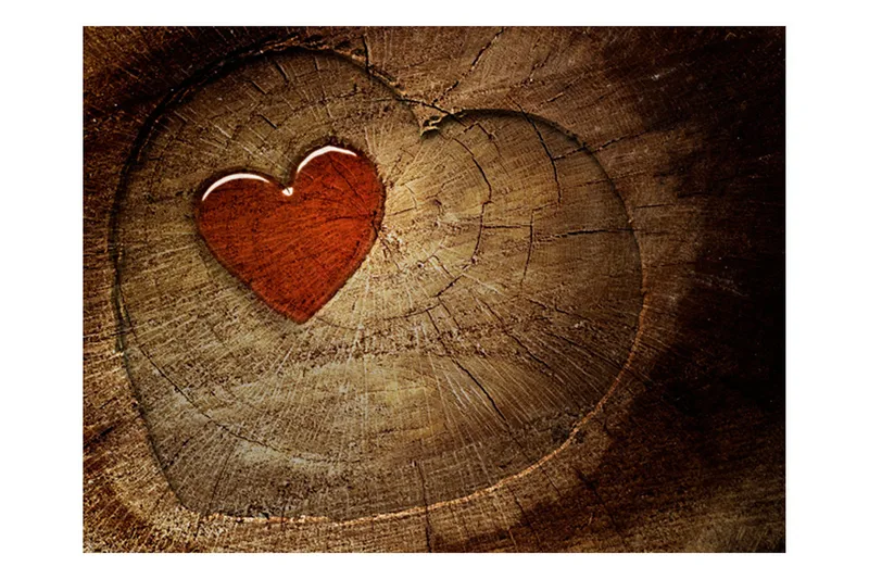 Fototapet Eternal Love 300x231 - Artgeist sp. z o. o. - Boligtilbehør - Vægdekoration - Tapeter - Fototapeter