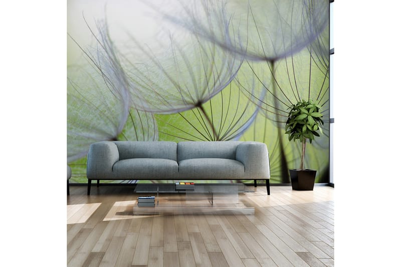 Fototapet Fleeting Moments 300x210, Artgeist sp. z o. o.