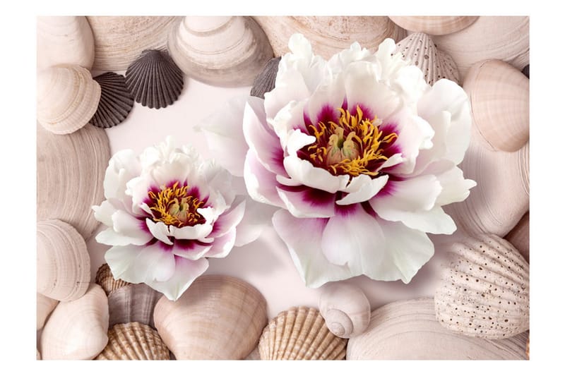 Fototapet Flowers And Shells 200x140, Artgeist sp. z o. o.