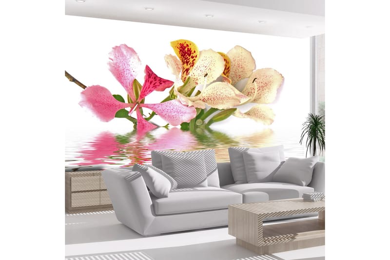 Fototapet Flowers Orchid Tree Bauhinia 350x270 - Artgeist sp. z o. o. - Boligtilbehør - Vægdekoration - Tapeter - Fototapeter