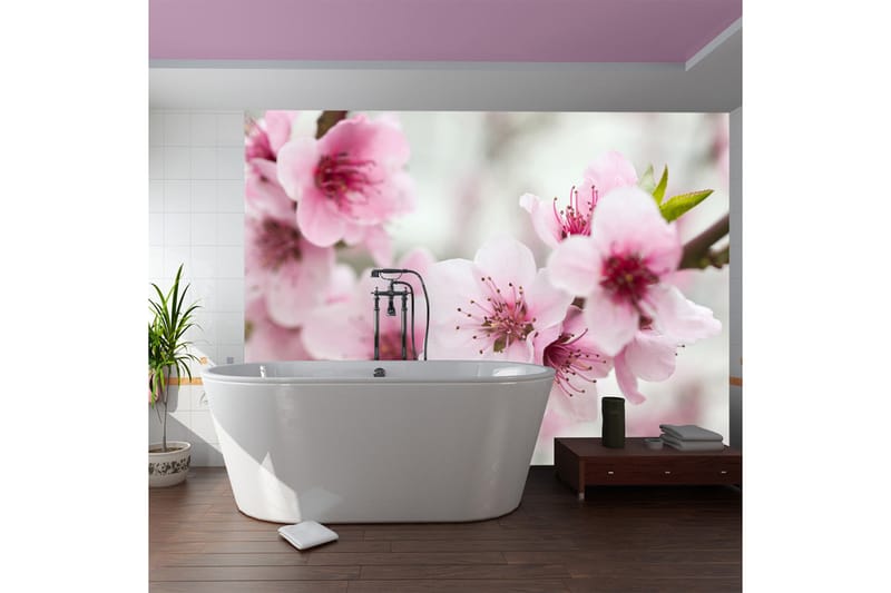 Fototapet Forår Blomstrene Træer Lyserøde Blomster 350x270 - Artgeist sp. z o. o. - Boligtilbehør - Vægdekoration - Tapeter - Fototapeter