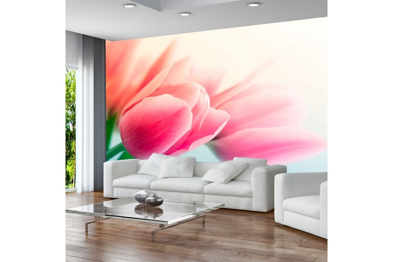 Fototapet Forår Og Tulipaner 300x231, Artgeist sp. z o. o.