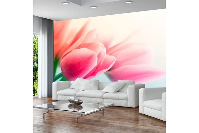 Fototapet Forår Og Tulipaner 350x270, Artgeist sp. z o. o.