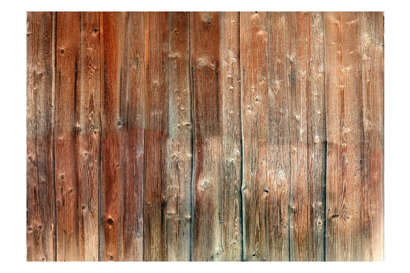 Fototapet Forest Cottage 400x280 - Artgeist sp. z o. o. - Boligtilbehør - Vægdekoration - Tapeter - Fototapeter