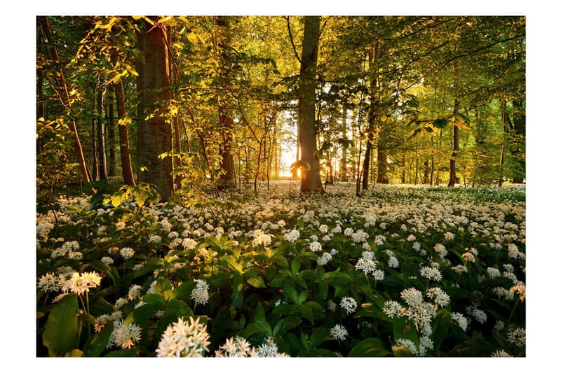 Fototapet Forest Flora 300x210, Artgeist sp. z o. o.