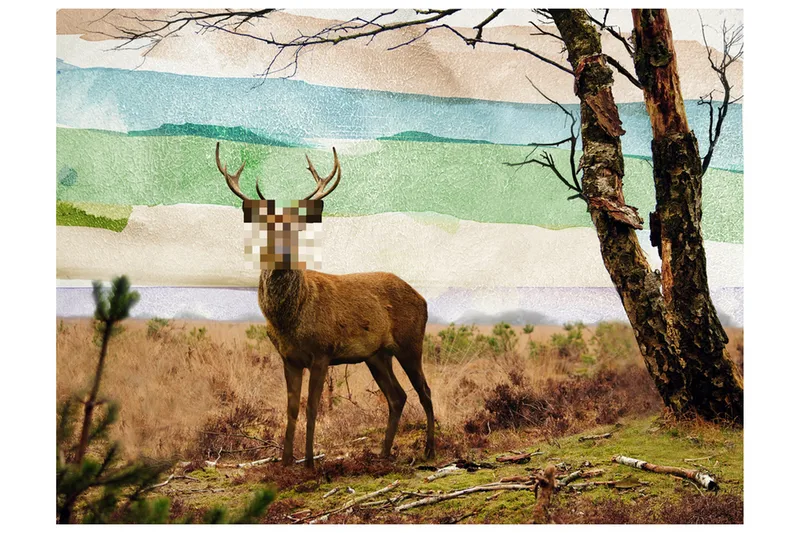 Fototapet Forest Refugee 250x193 - Artgeist sp. z o. o. - Boligtilbehør - Vægdekoration - Tapeter - Fototapeter