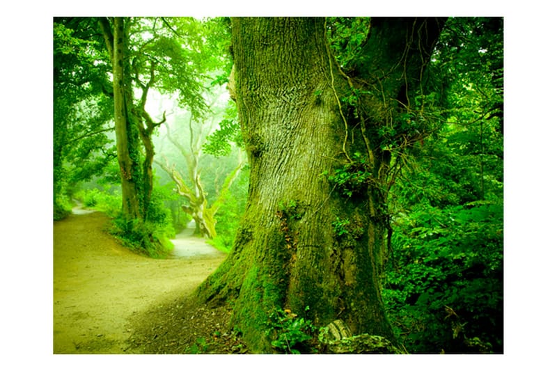Fototapet Forest Road 200x154 - Artgeist sp. z o. o. - Boligtilbehør - Vægdekoration - Tapeter - Fototapeter
