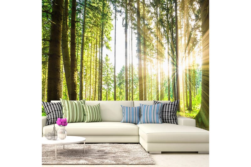 Fototapet Forest Tales 150x105, Artgeist sp. z o. o.