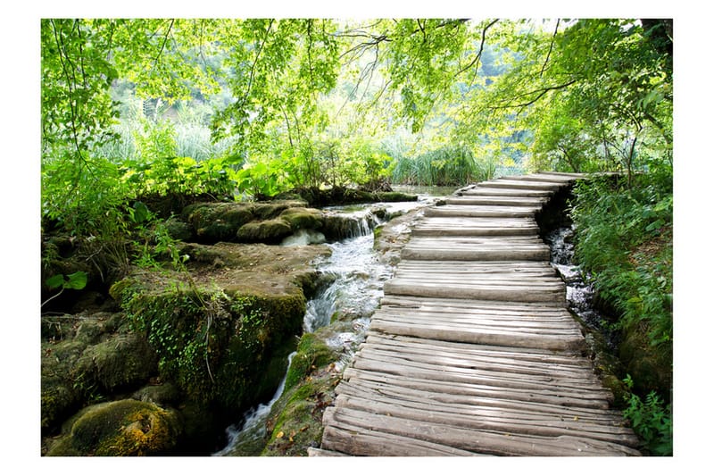 Fototapet Forest Path 100x70, Artgeist sp. z o. o.