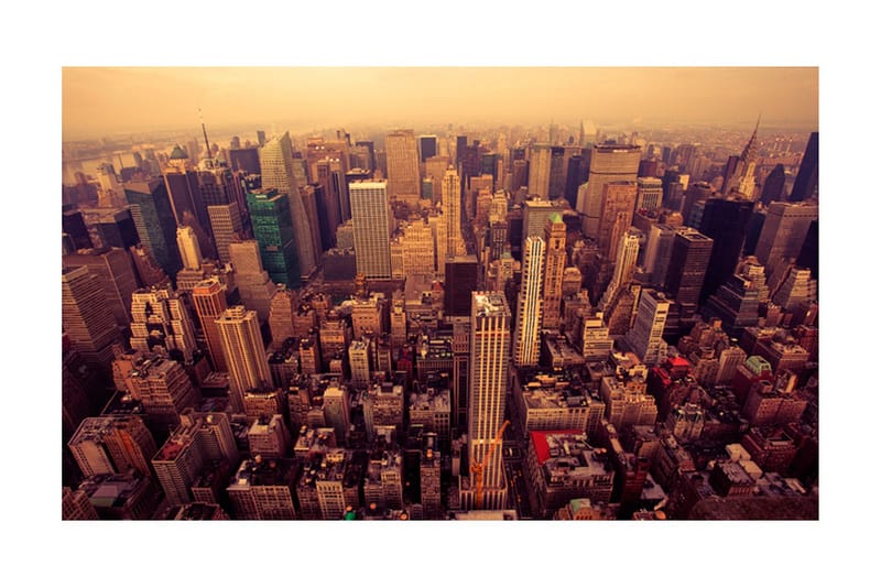 Fototapet Fuglen Kigger på Manhattan New York 450x270, Artgeist sp. z o. o.