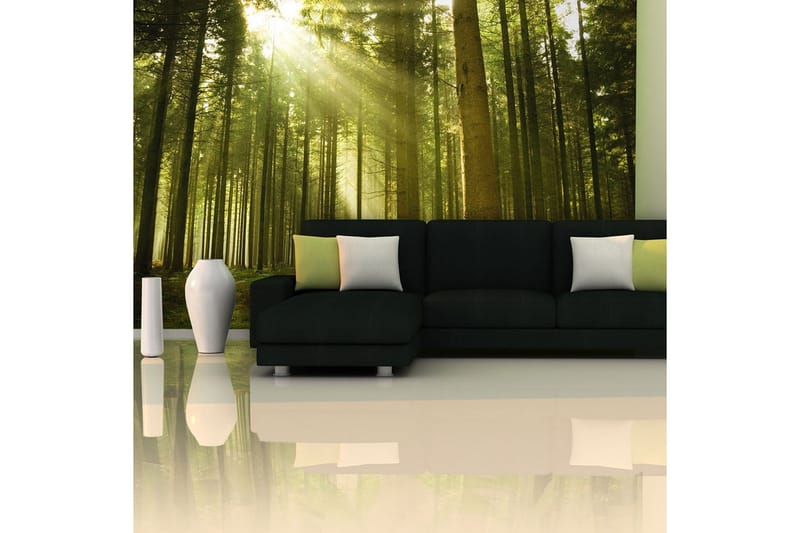 Fototapet Fyrretræs Skov 450x270 - Artgeist sp. z o. o. - Boligtilbehør - Vægdekoration - Tapeter - Fototapeter